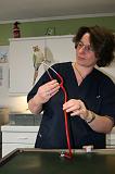VETERINAIRE NAC 049
